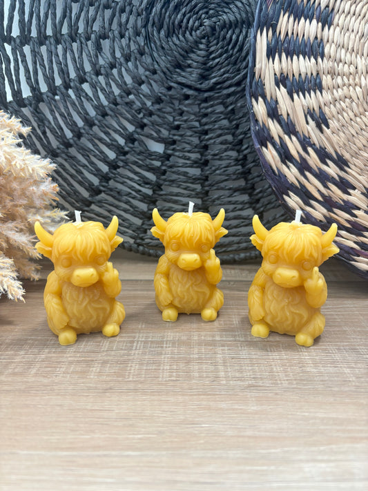 Highland Cow Candle with SASS
